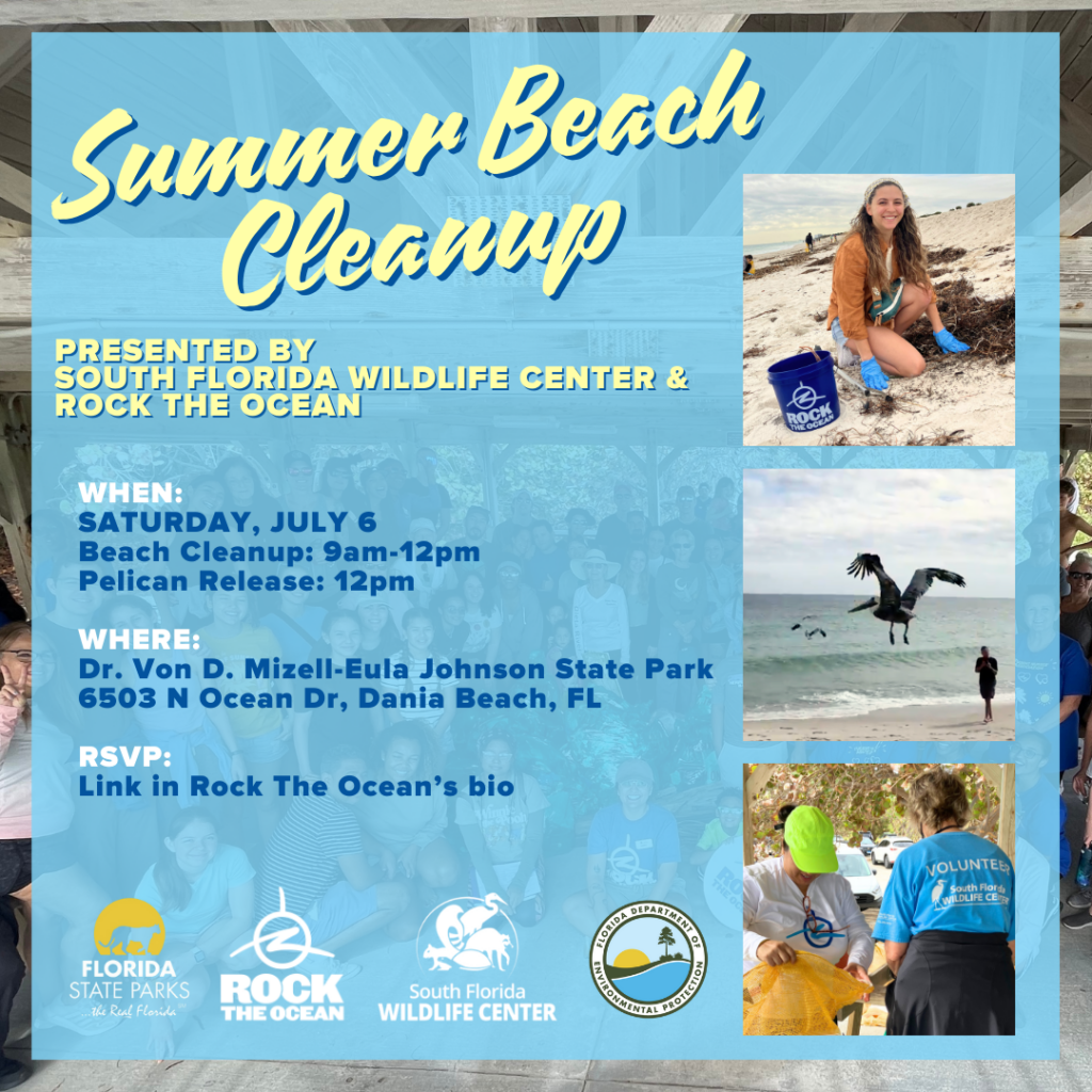 SFWC Summer Beach Cleanup July 6, 2024