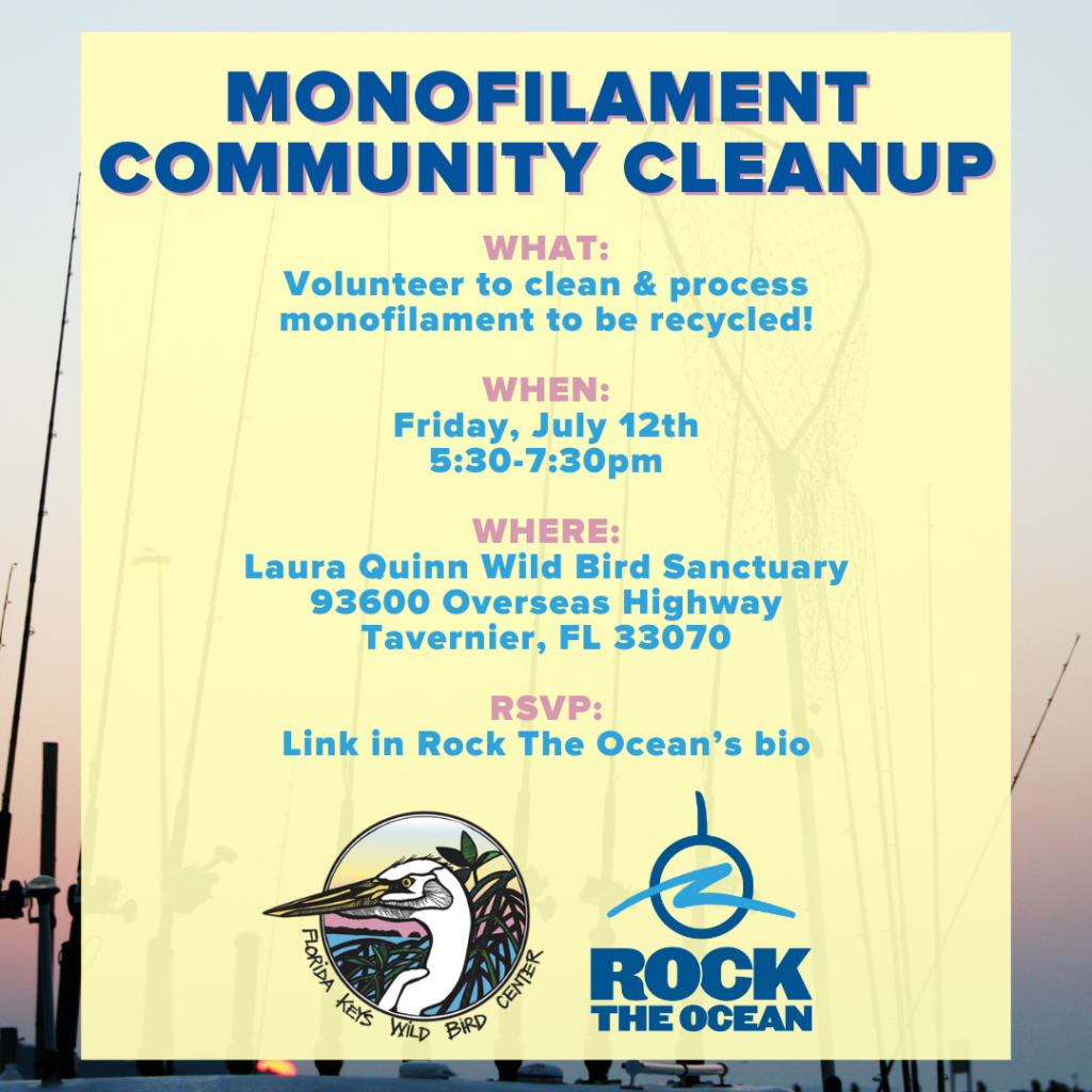 7/12/2024 Monofilament Cleanup event 