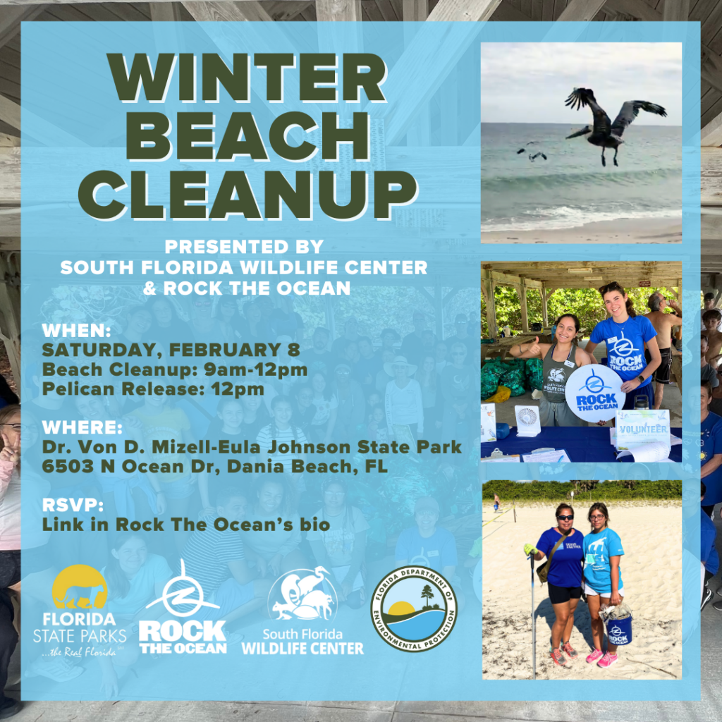 2/8/2025 Beach Clean up poster